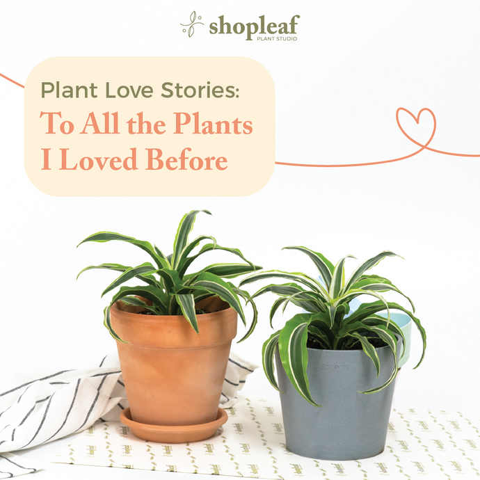Plant Love Stories: To All the Plants I Loved Before