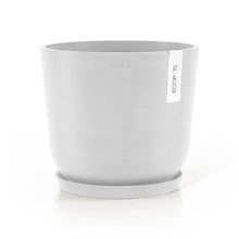 Load image into Gallery viewer, Everfresh Tree (M1) in Ecopots