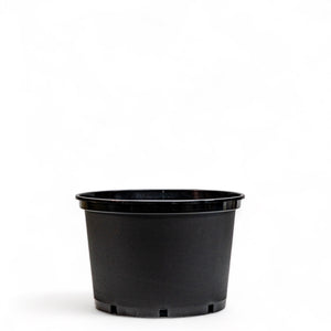Basic Black Pot