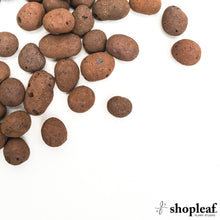 Load image into Gallery viewer, LECA Balls