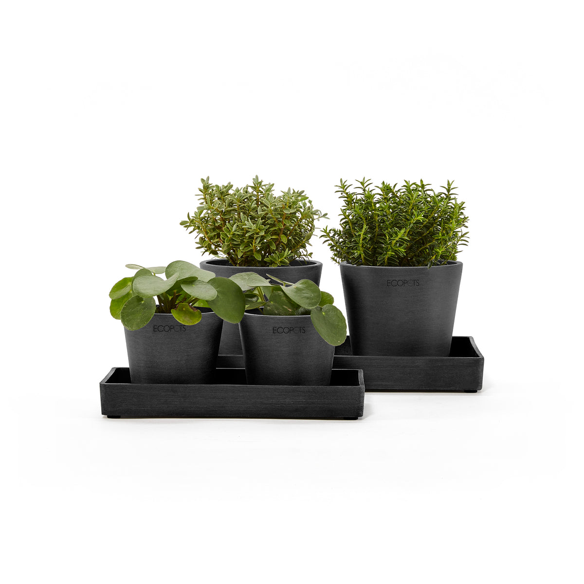 Ecopots Display Platter Amsterdam Mini 20 – Shopleaf Plant Studio