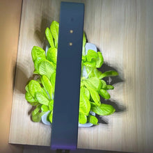 Load image into Gallery viewer, Sansi Hydroponics Grow System