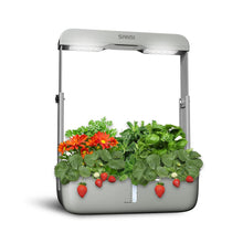 Load image into Gallery viewer, Sansi Hydroponics Grow System