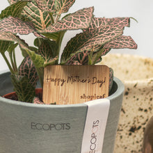 Load image into Gallery viewer, Mother&#39;s Day Plant Marker
