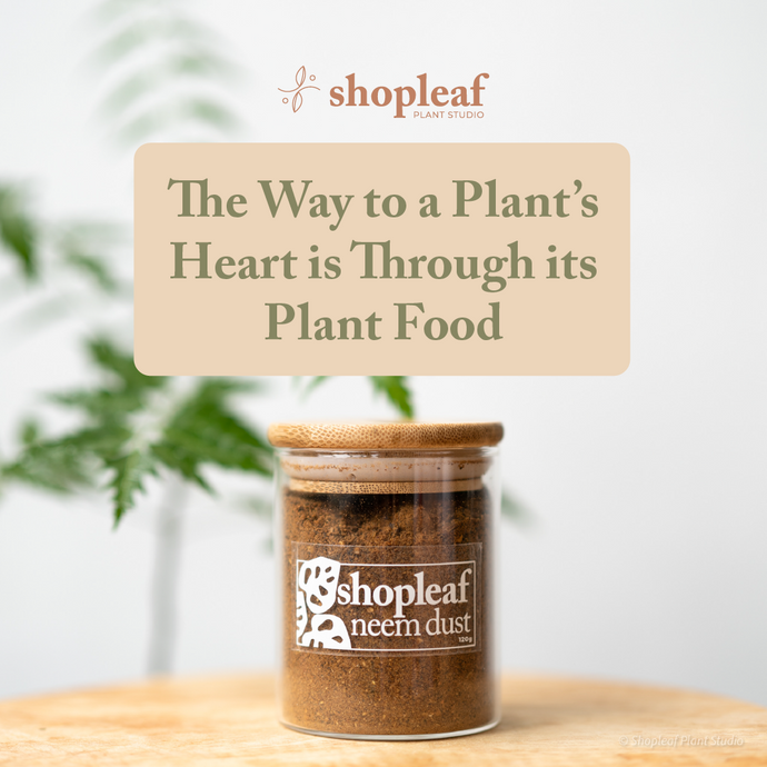 The Way to a Plant’s Heart is Through its Plant Food