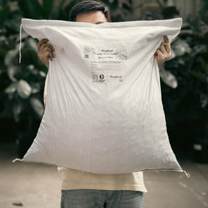 Aroid Potting Mix