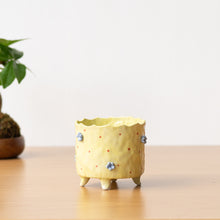 将图片加载到图库查看器，Handmade Footed Pot: Floral Yellow