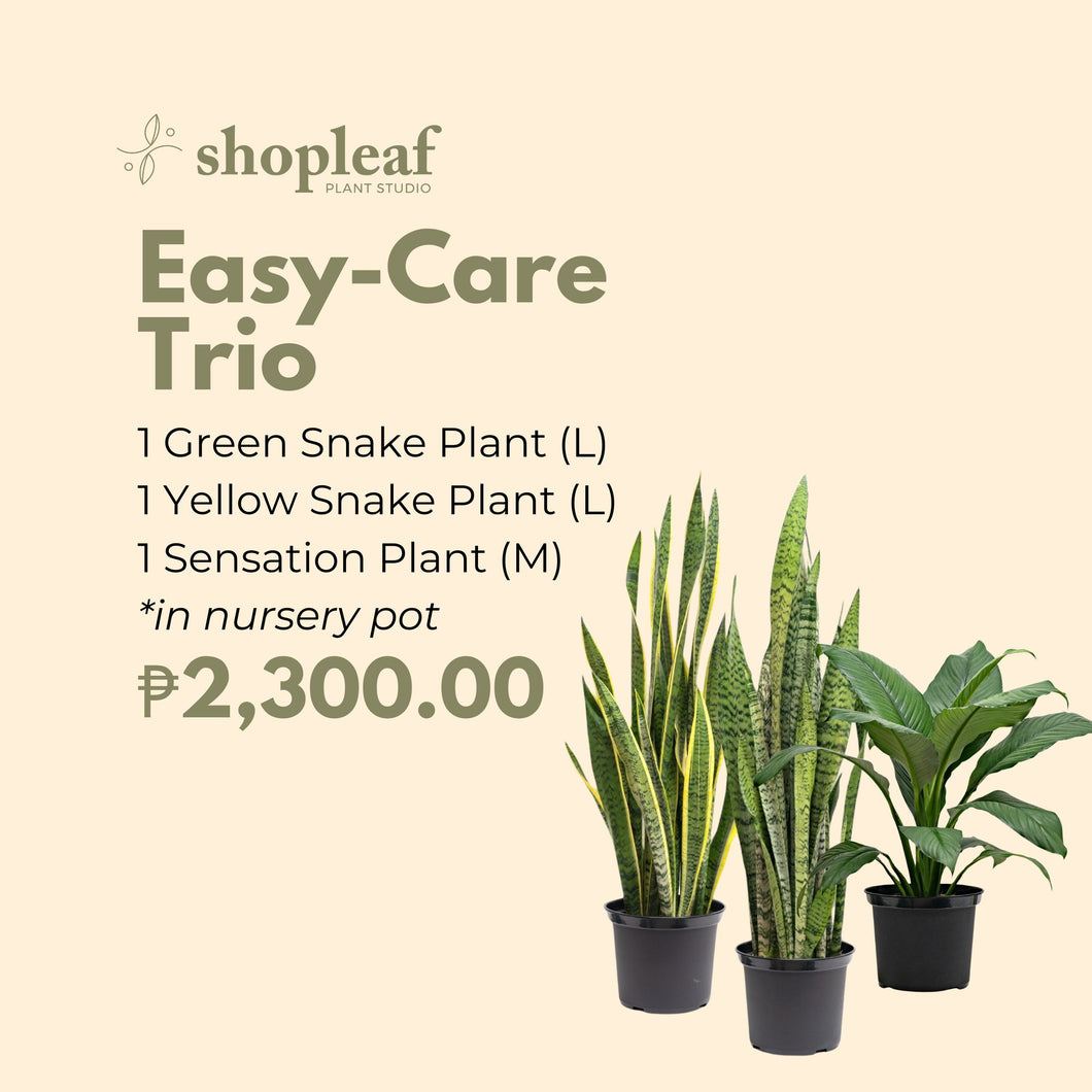 Easy-Care Trio