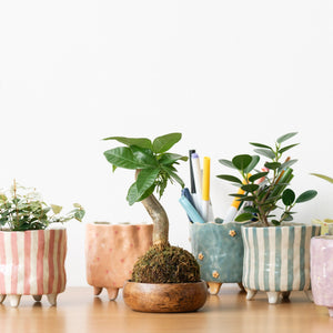 Handmade Footed Pot: Country Floral