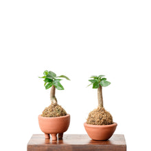 Load image into Gallery viewer, Shopleaf Footed Terracotta Pot (S)