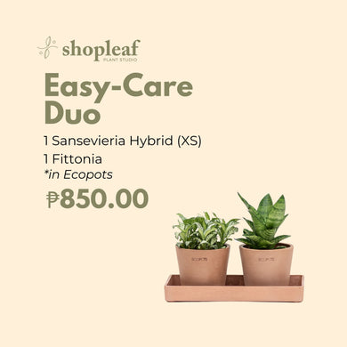 Easy-Care Duo in Ecopots