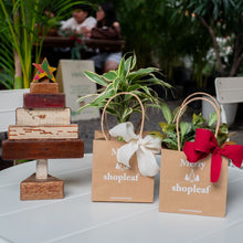 Load image into Gallery viewer, Holiday Gift Packaging
