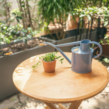 Load image into Gallery viewer, Hoya zambales in Nursery Pot