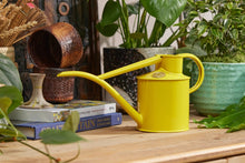 将图片加载到图库查看器，Haws The Fazeley Flow Lotus Yellow 1 Liter Indoor Watering Can