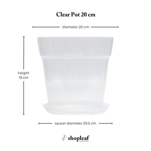 Clear Pot 20 cm - Set of 3