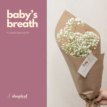 将图片加载到图库查看器，Baby&#39;s Breath Bouquet