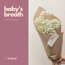 Load image into Gallery viewer, Baby&#39;s Breath Bouquet