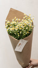 Load image into Gallery viewer, Chamomile Bouquet