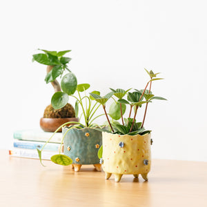 Handmade Footed Pot: Floral Blue