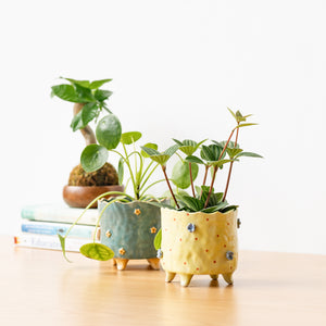 Handmade Footed Pot: Floral Yellow
