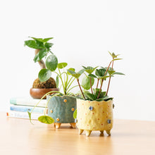将图片加载到图库查看器，Handmade Footed Pot: Country Floral