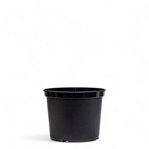 Basic Black Pot