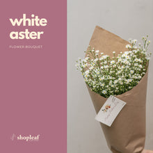 将图片加载到图库查看器，White Aster Bouquet