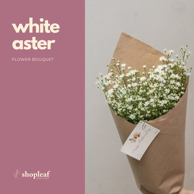 White Aster Bouquet