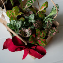 Load image into Gallery viewer, Holiday Gift Packaging