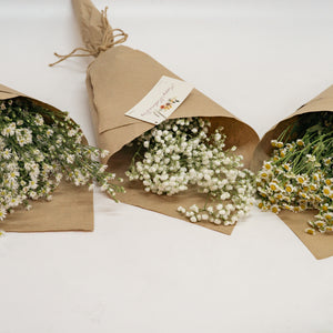 Baby's Breath Bouquet