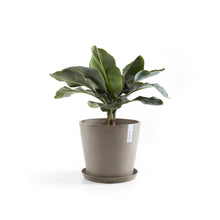 Load image into Gallery viewer, Ecopots Amsterdam 30 with Water Reservoir