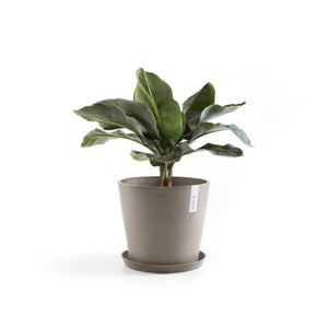 Ecopots Amsterdam 30 with Water Reservoir