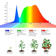 Load image into Gallery viewer, Sansi 40W Full Spectrum LED Grow Light Bulb with Remote