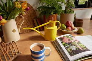 Haws The Fazeley Flow Lotus Yellow 1 Liter Indoor Watering Can