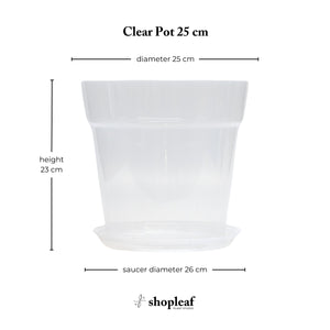 Clear Pot 25 cm - Set of 3