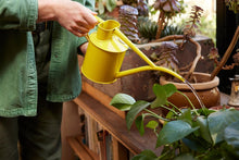 将图片加载到图库查看器，Haws The Fazeley Flow Lotus Yellow 1 Liter Indoor Watering Can