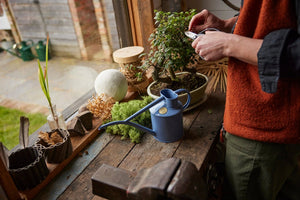 Haws The Fazeley Flow Bluebell Meadow 1 Liter Indoor Watering Can