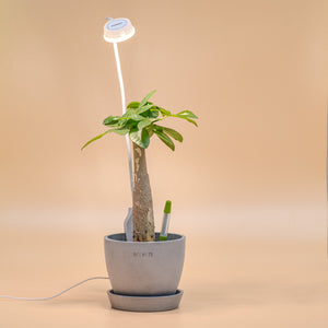 Sansi Pot Clip LED Grow Light 5 Watts With Timer