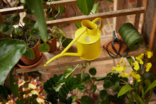 将图片加载到图库查看器，Haws The Fazeley Flow Lotus Yellow 1 Liter Indoor Watering Can