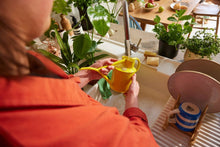 Load image into Gallery viewer, Haws The Fazeley Flow Lotus Yellow 1 Liter Indoor Watering Can