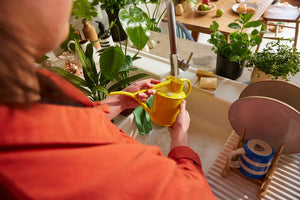 Haws The Fazeley Flow Lotus Yellow 1 Liter Indoor Watering Can