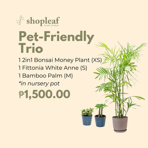 Pet-Friendly Trio