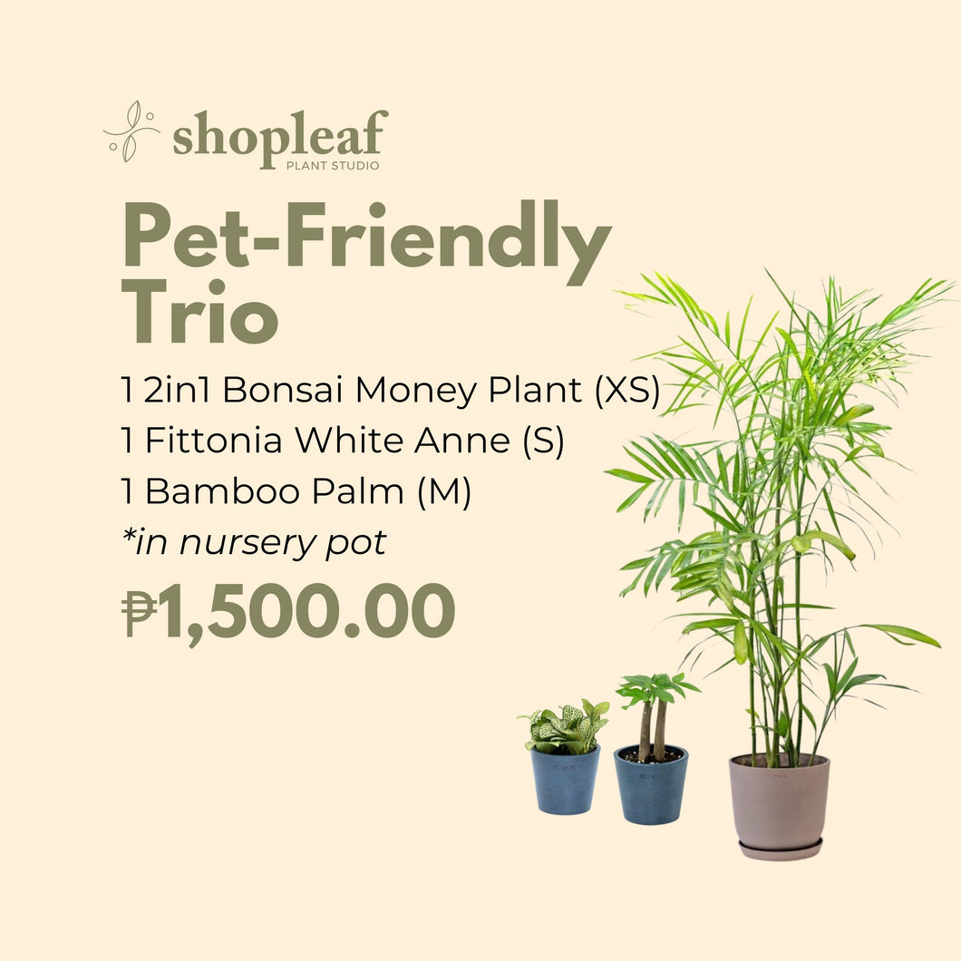Pet-Friendly Trio