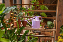 将图片加载到图库查看器，Haws The Fazeley Flow Misty Lilac 1 Liter Indoor Watering Can