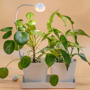Sansi Pot Clip LED Grow Light 5 Watts With Timer