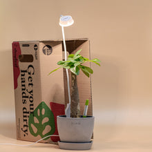 Load image into Gallery viewer, Sansi Pot Clip LED Grow Light 5 Watts With Timer