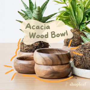 Acacia Wood Bowl