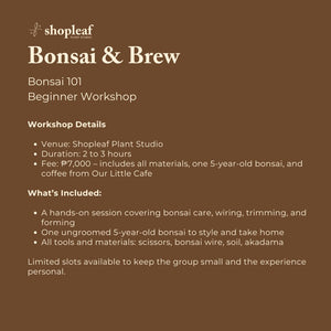 Bonsai & Brew: Bonsai 101 Beginner Workshop