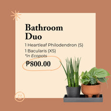 Load image into Gallery viewer, Bathroom Duo in Ecopots