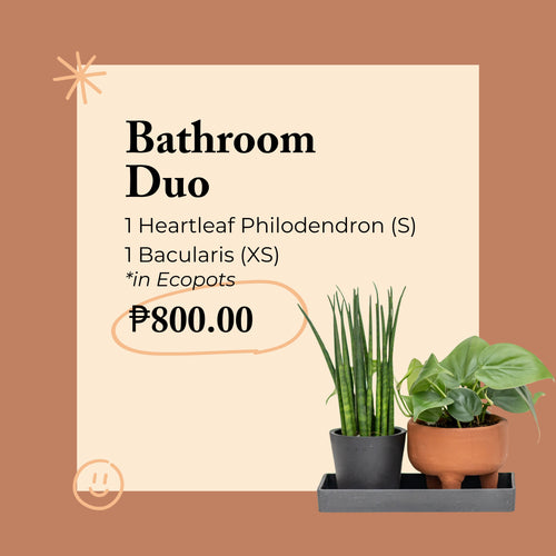 Bathroom Duo in Ecopots